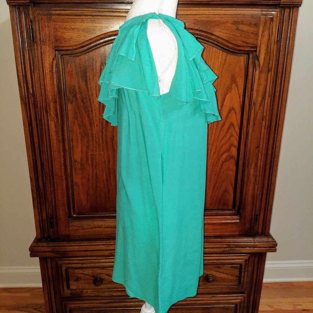 Francesca’s One Shoulder Ruffle Top Dress - Picture 6 of 7